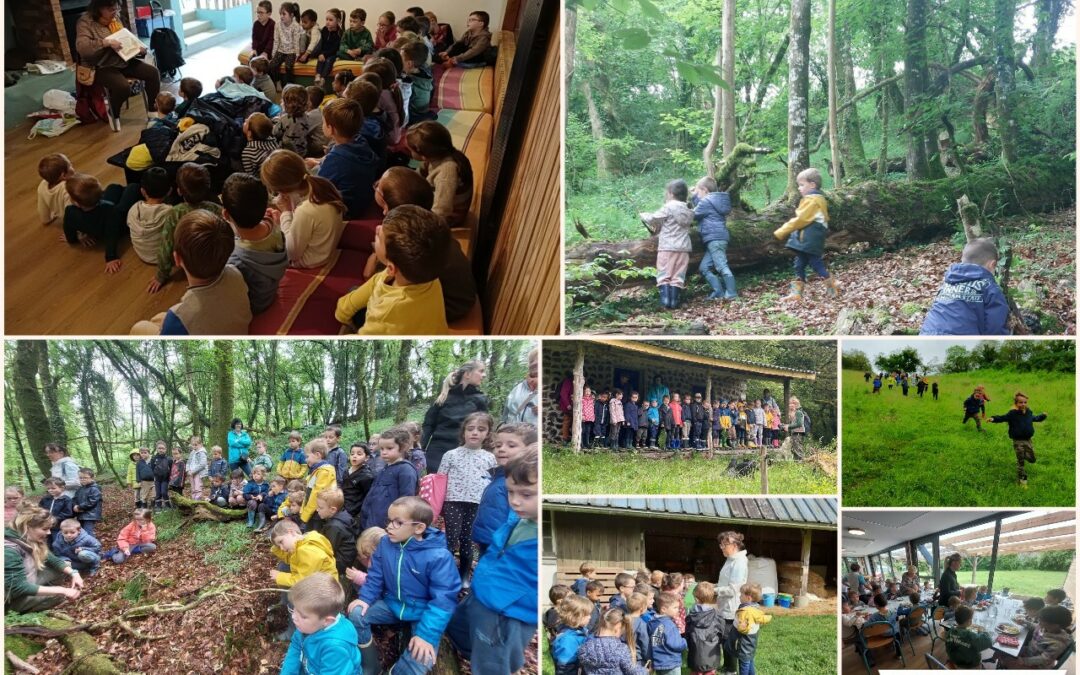Voyage scolaire à la ferme : une première expérience inoubliable pour les PS, MS et GS !
